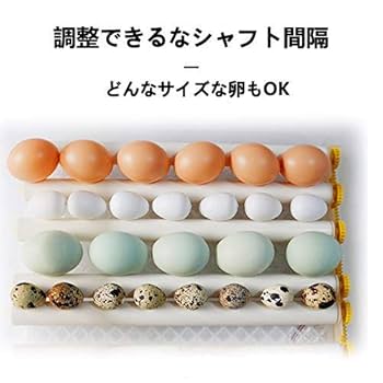 自動孵卵器 自動転卵式　湿度＆温度調整　家庭用インキュベーター　教育用に最適 Amazon | インキュベーター 自動孵卵器 孵化器 自動転卵 大容量